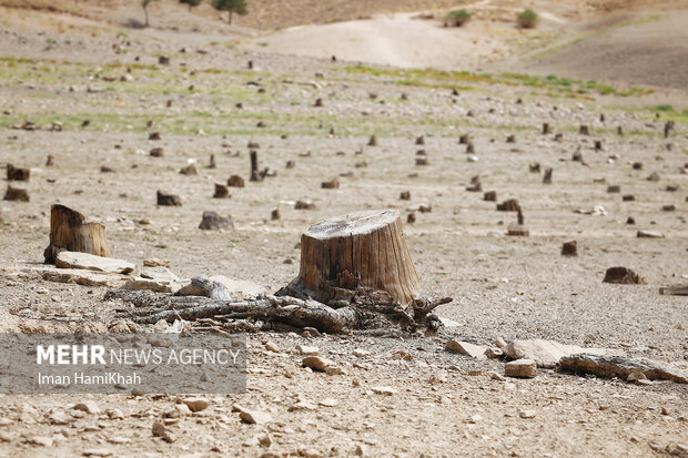 وضعیت بحرانی سد اکباتان همدان