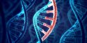 مزه غذاها با DNA انسان ها فرق می کند! مزه غذاها با DNA انسان ها فرق می کند!