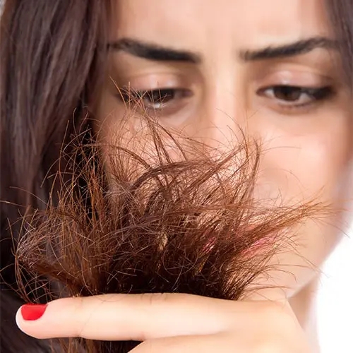 چرا موخوره می گیریم؟ چرا موخوره می گیریم؟
