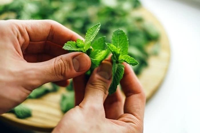 بهترین خوراکی ها وقتی حالت تهوع دارید