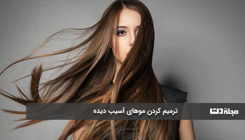 چگونه موهای آسیب دیده را ترمیم کنیم؟