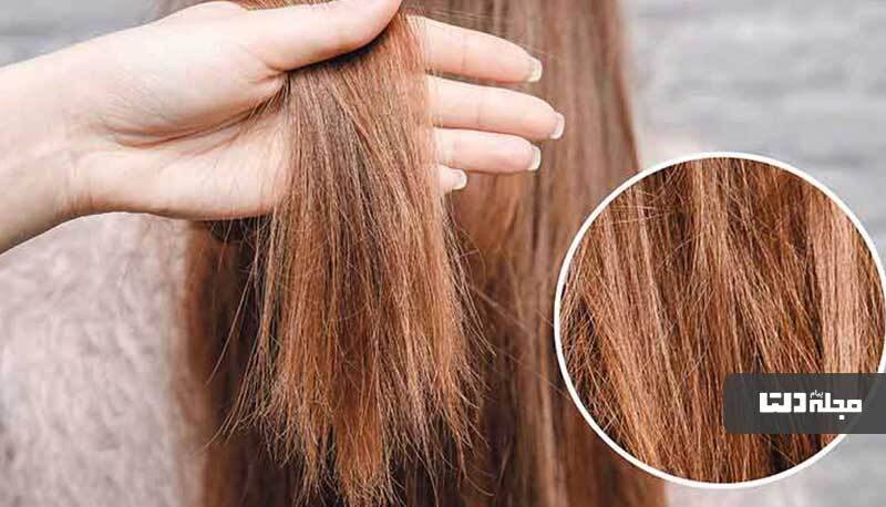 چگونه موهای آسیب دیده را ترمیم کنیم؟