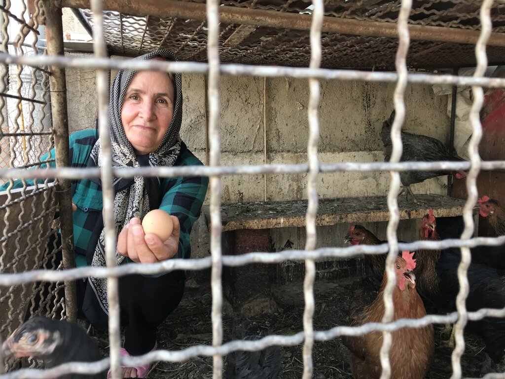  زندگی روستایی پرستار گل‌ها روی بام 