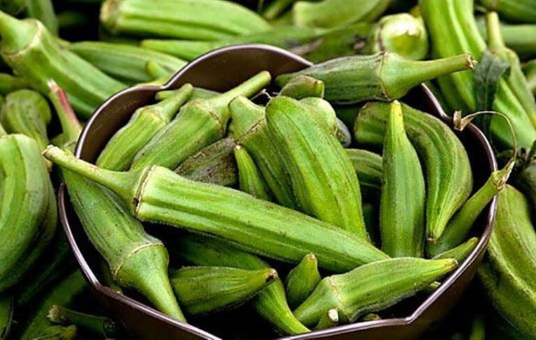 هرآنچه باید درباره‌ی خواص بامیه بدانید