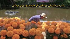 ببینید| مکزیکی‌ها خودشان را برای روز مردگان آماده می‌کنند