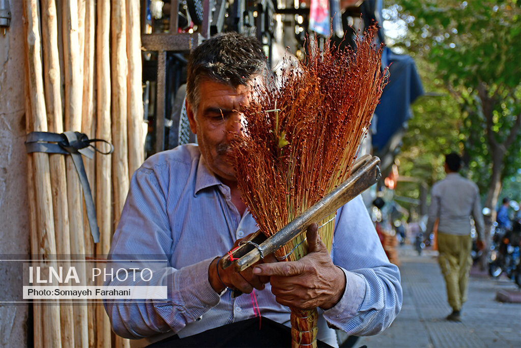 تصاویر یک شغل فراموش شده تهران