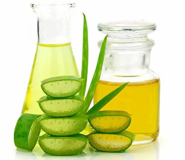 بلند و پرپشت شدن سریع مژه با روشی گیاهی و خانگی در 3 روز