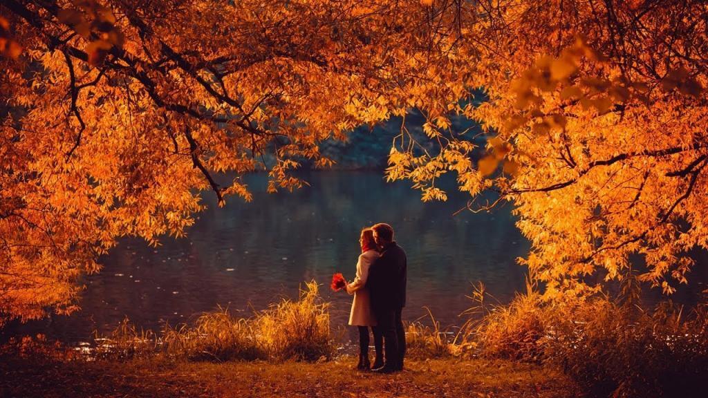 اگر کسی را برای بغل کردن دارید، این مطلب را نخوانید