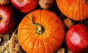 خواص کدو حلوایی برای مردان