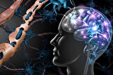 تهدیدات ام اس برای جوانان و ضرورت تشخیص سریع آن
